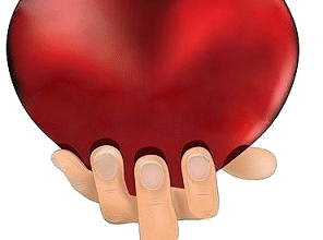 o coração do rei está nas mãos de Deus