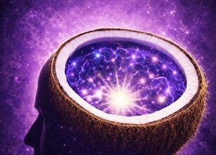 como despertar a consciência