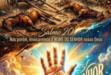 Uns confiam em carros e outros em cavalos
